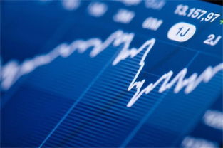 市場(chǎng)風(fēng)險(xiǎn)咨詢委員會(huì) 比特幣期貨自我認(rèn)證工程