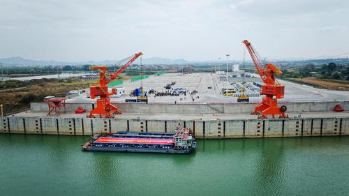 廣西百色 粵港澳大灣區集裝箱班輪航線開通