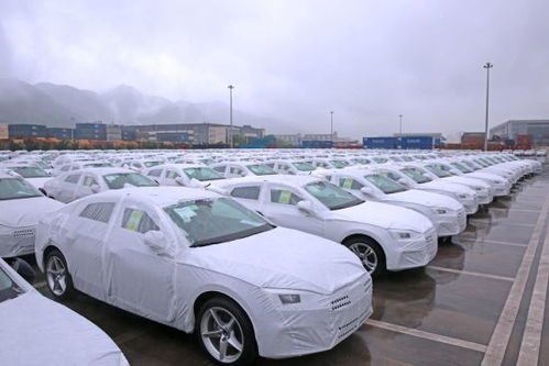 通道帶貿(mào)易 金融促發(fā)展,重慶國際物流樞紐園區(qū)展現(xiàn)內(nèi)陸開放 新勢(shì)能